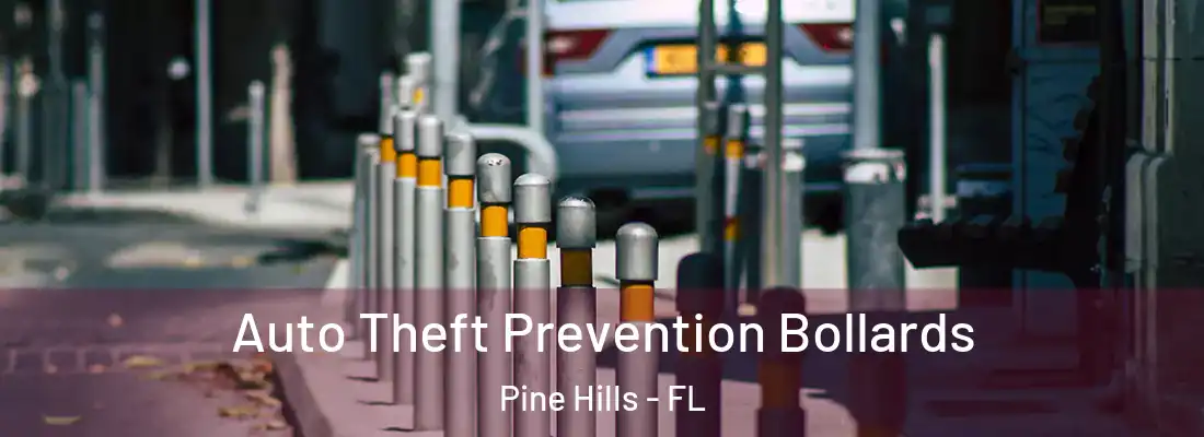  Auto Theft Prevention Bollards Pine Hills - FL