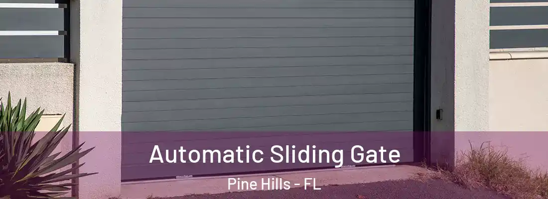  Automatic Sliding Gate Pine Hills - FL
