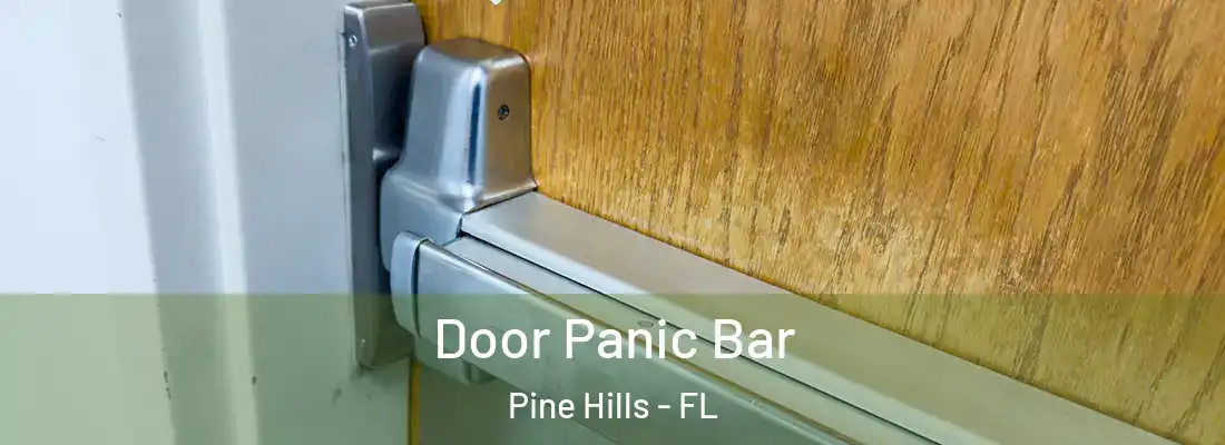 Door Panic Bar Pine Hills - FL