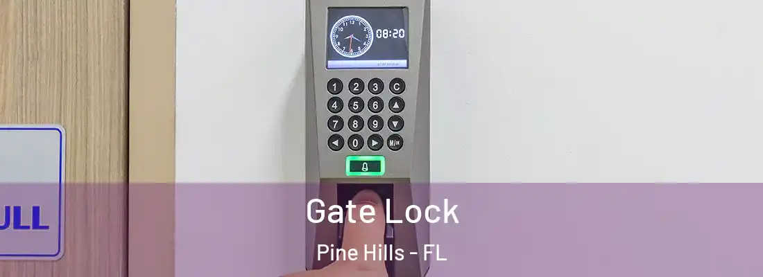 Gate Lock Pine Hills - FL