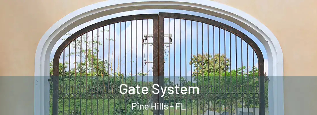  Gate System Pine Hills - FL