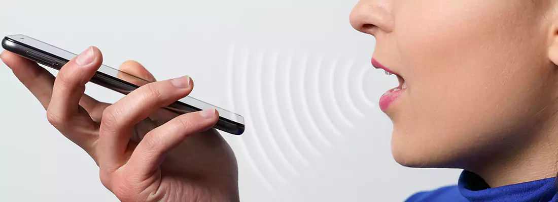 Residential and Commercial Voice Recognition Access Solutions in Pine Hills, FL