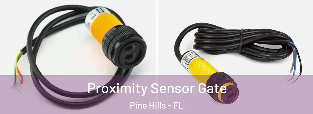  Proximity Sensor Gate Pine Hills - FL