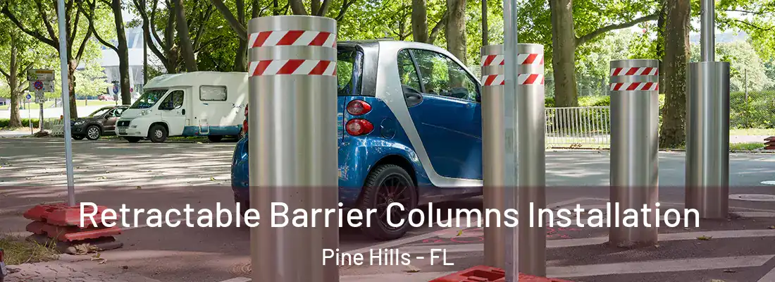 Retractable Barrier Columns Installation Pine Hills - FL