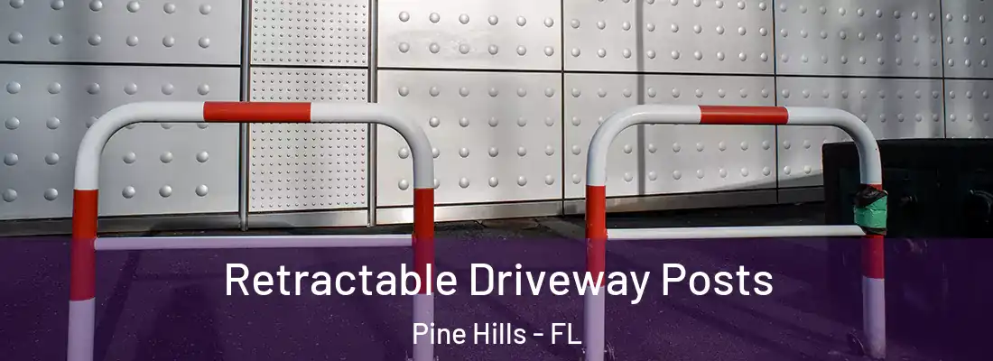 Retractable Driveway Posts Pine Hills - FL