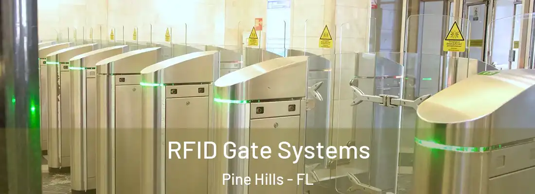 RFID Gate Systems Pine Hills - FL