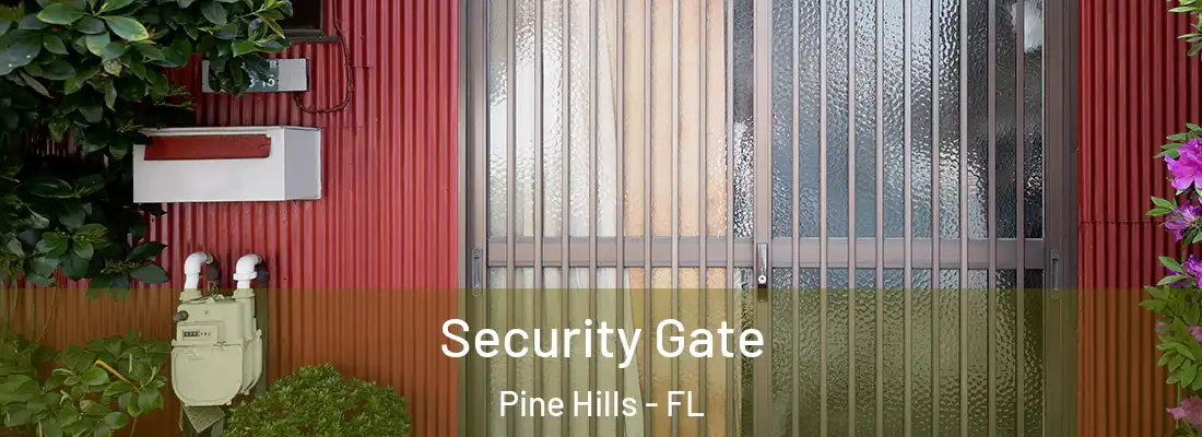 Security Gate Pine Hills - FL