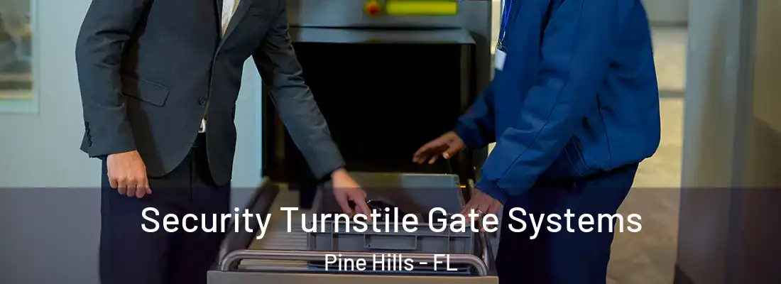 Security Turnstile Gate Systems Pine Hills - FL